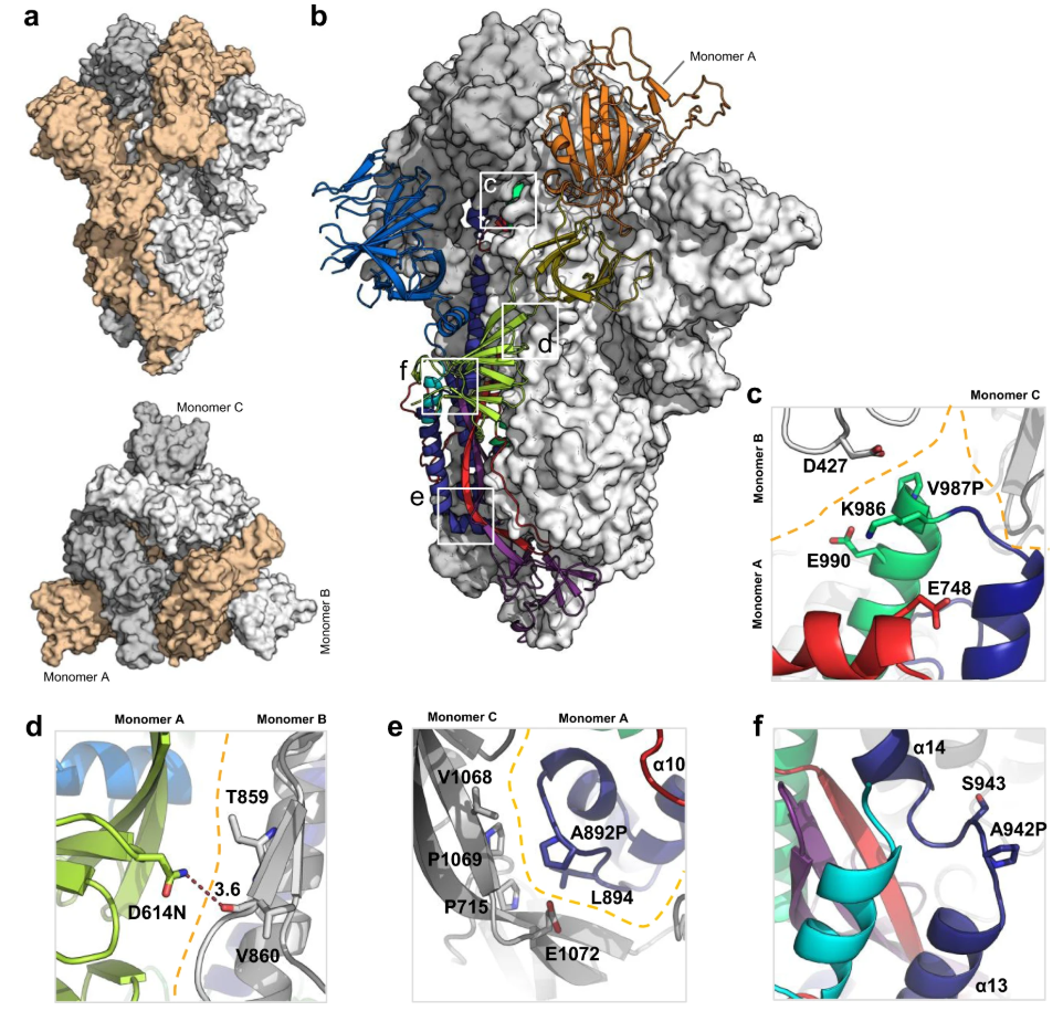 1917460733646983168-vaccine-design-and-development-service-cryo-em1.png