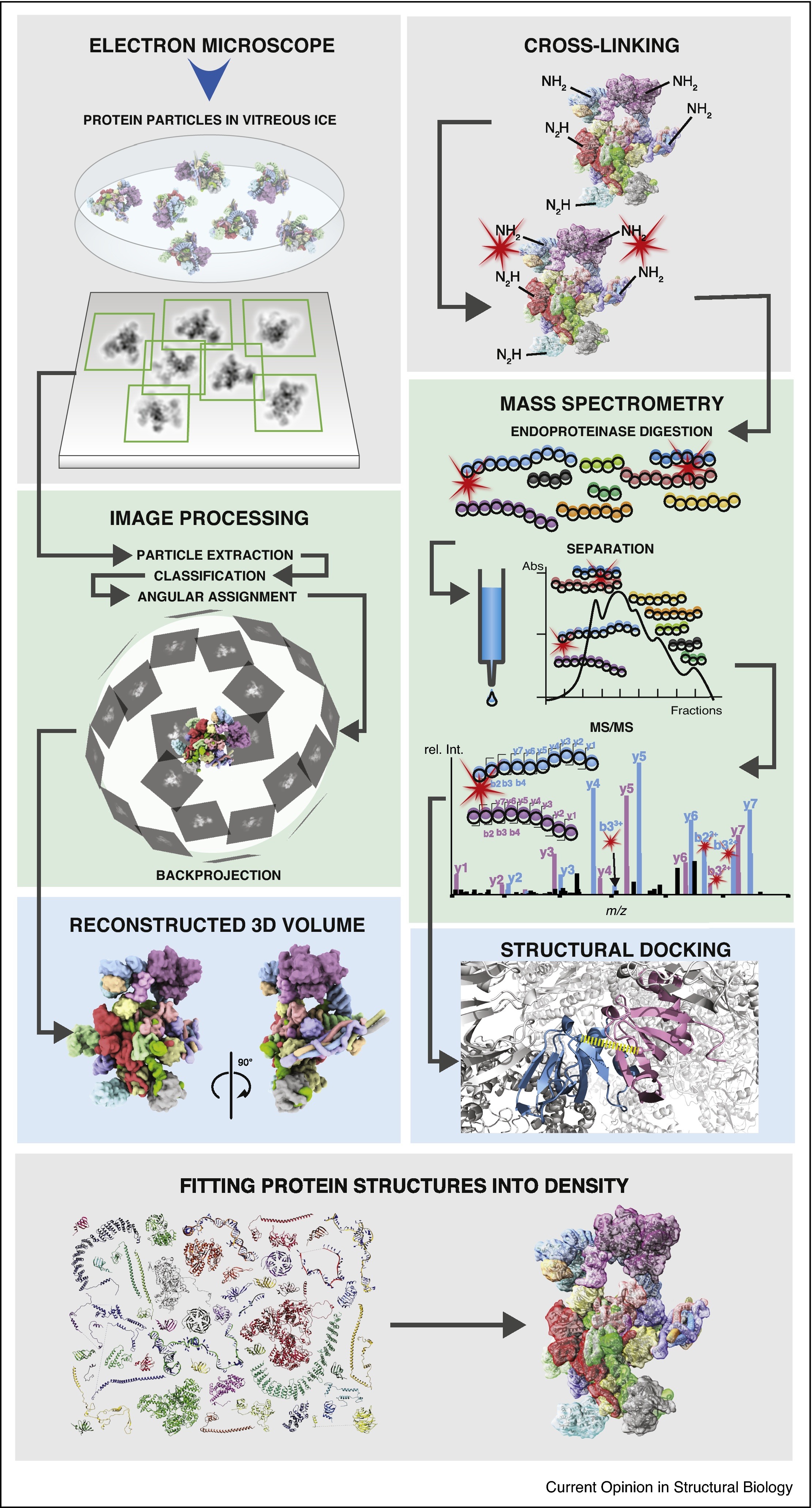 1917476701559443456-combinational-applications-of-cryo-em-and-mass-spectrometry1.jpg