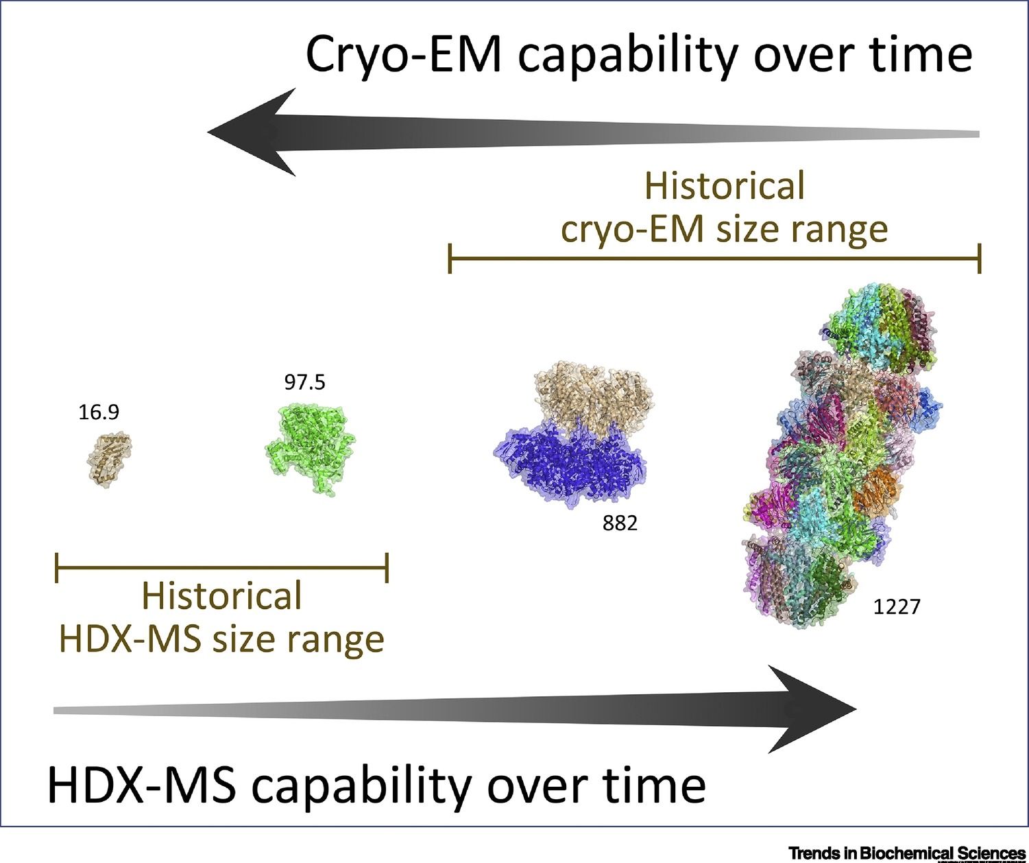 1917476951309275136-combinational-applications-of-cryo-em-and-mass-spectrometry2.jpg
