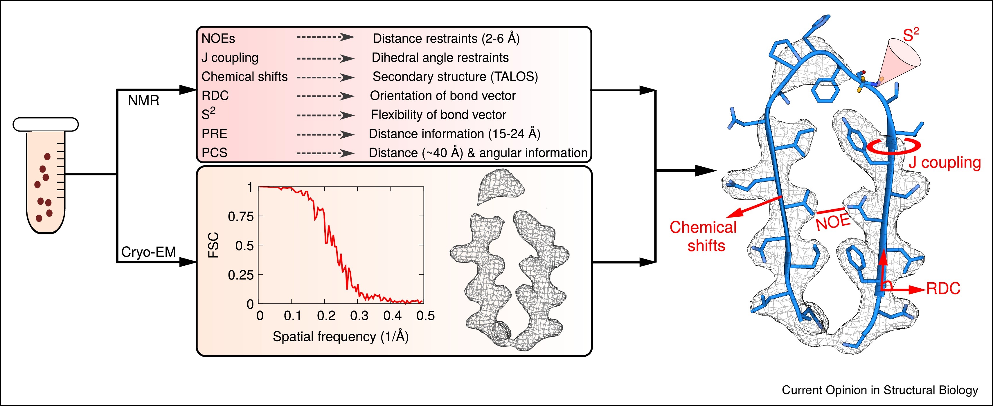 1917495034803507200-model-reconstruction-of-crystal-structures-using-cryo-em-and-nmr1.jpg