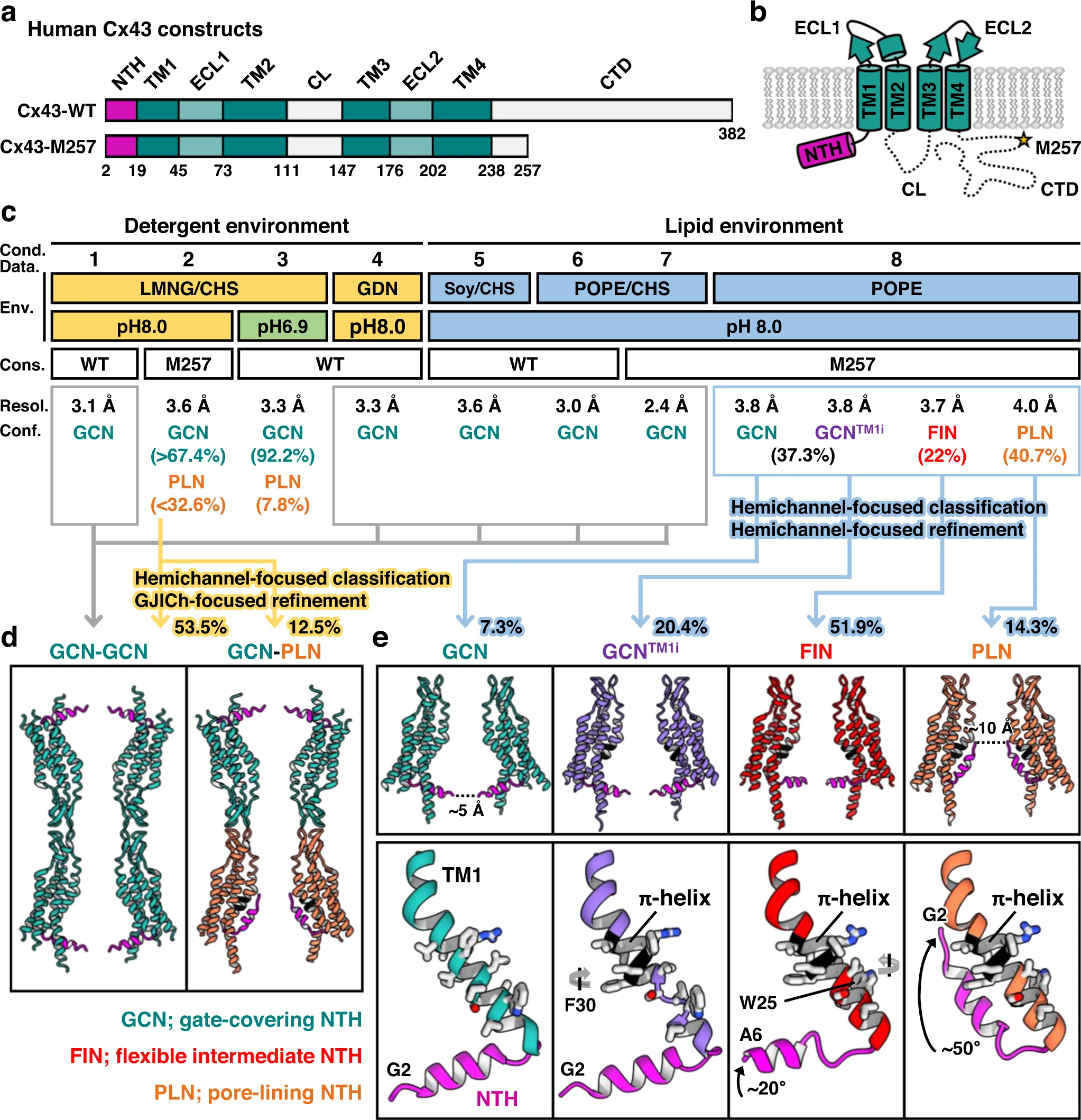 1917499820479205376-dynamic-conformational-change-and-function-identification-service2.webp