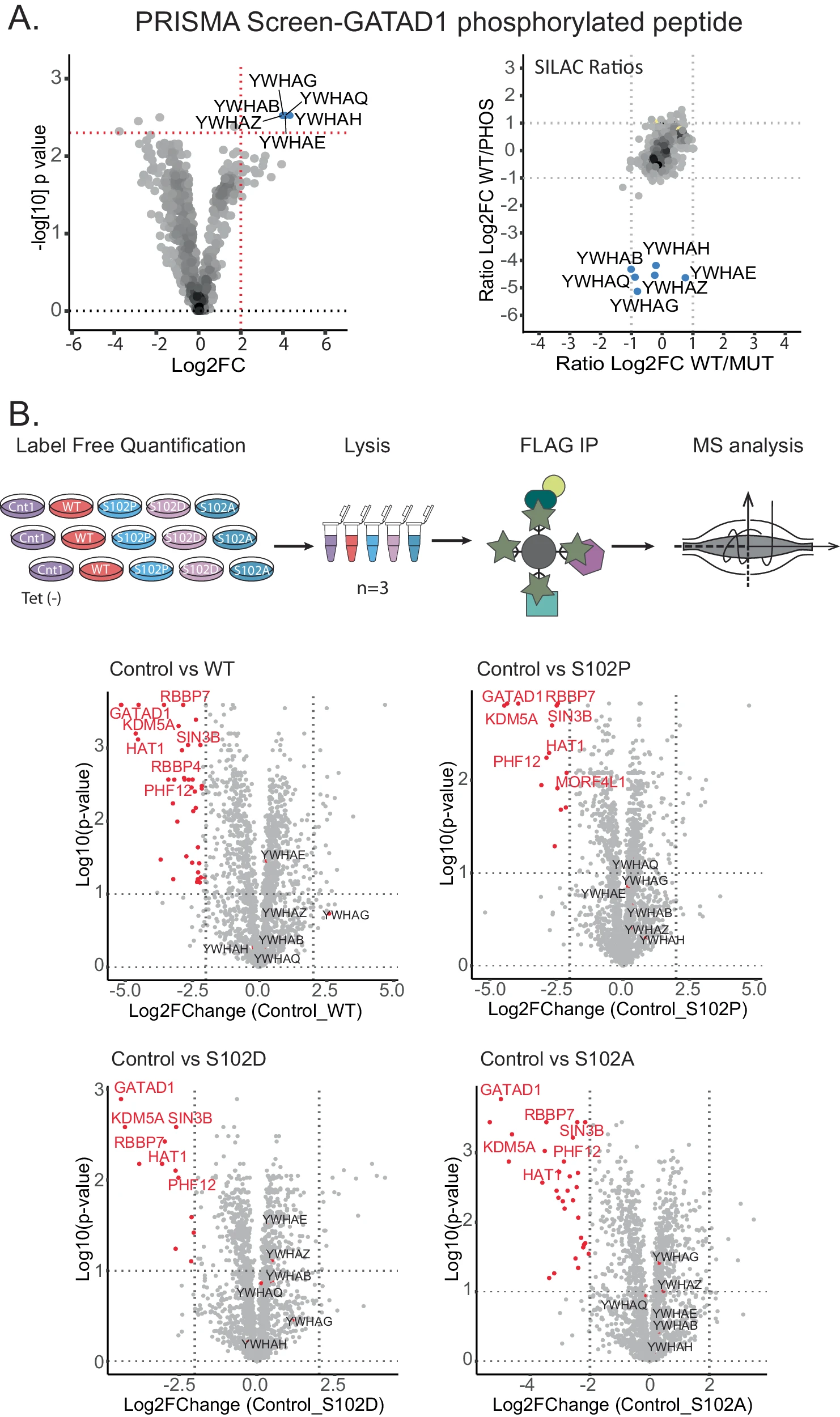 1919670396429914112-protein-protein-interaction-analysis-service2.webp
