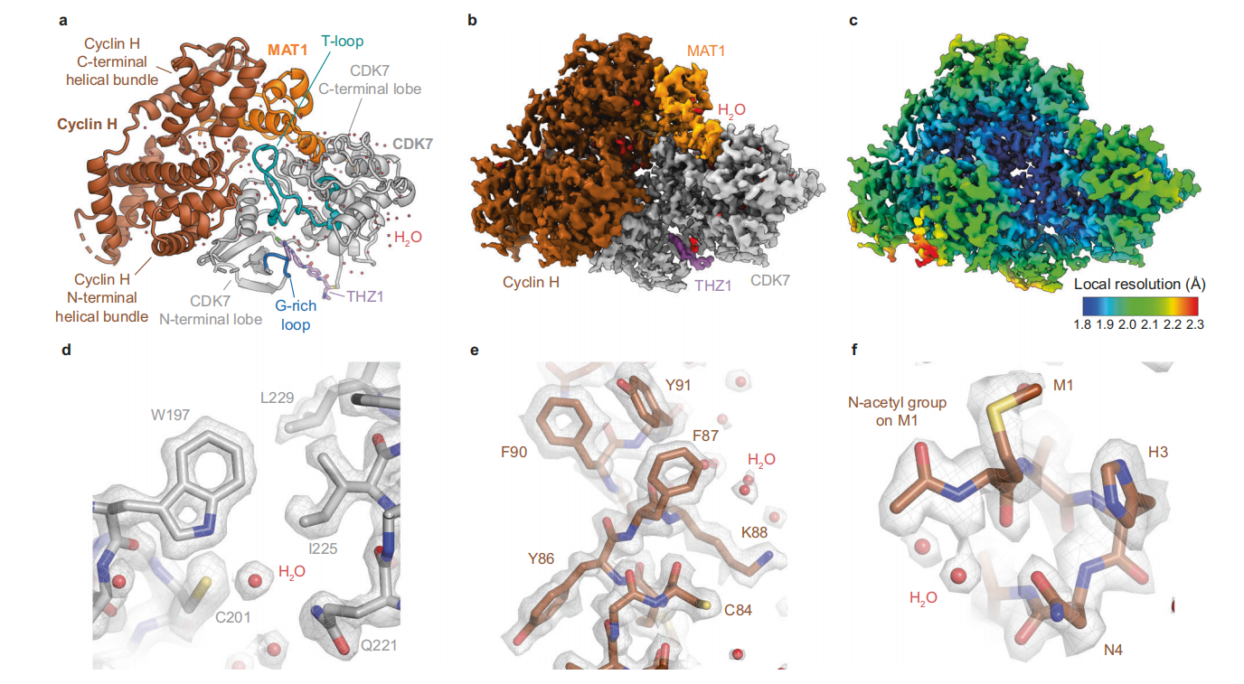 1919963409706242048-other-soluble-proteins-structure-characterization-service-cryo-em1.PNG