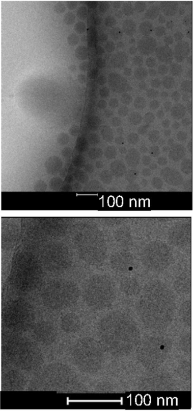 1919998497881968640-method-validation-service-cryo-em1.png
