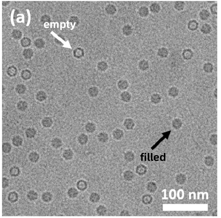 1920010437115105280-method-validation-service-cryo-em2.png