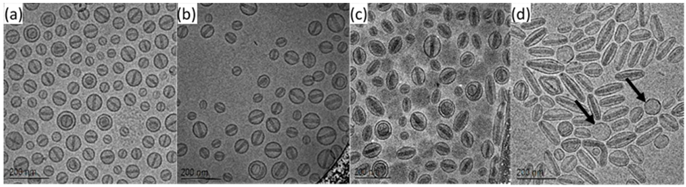 1920014887565250560-method-validation-service-cryo-em4.png
