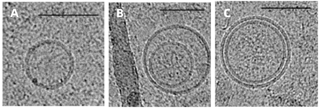 1920017923914190848-method-validation-service-cryo-em5.png