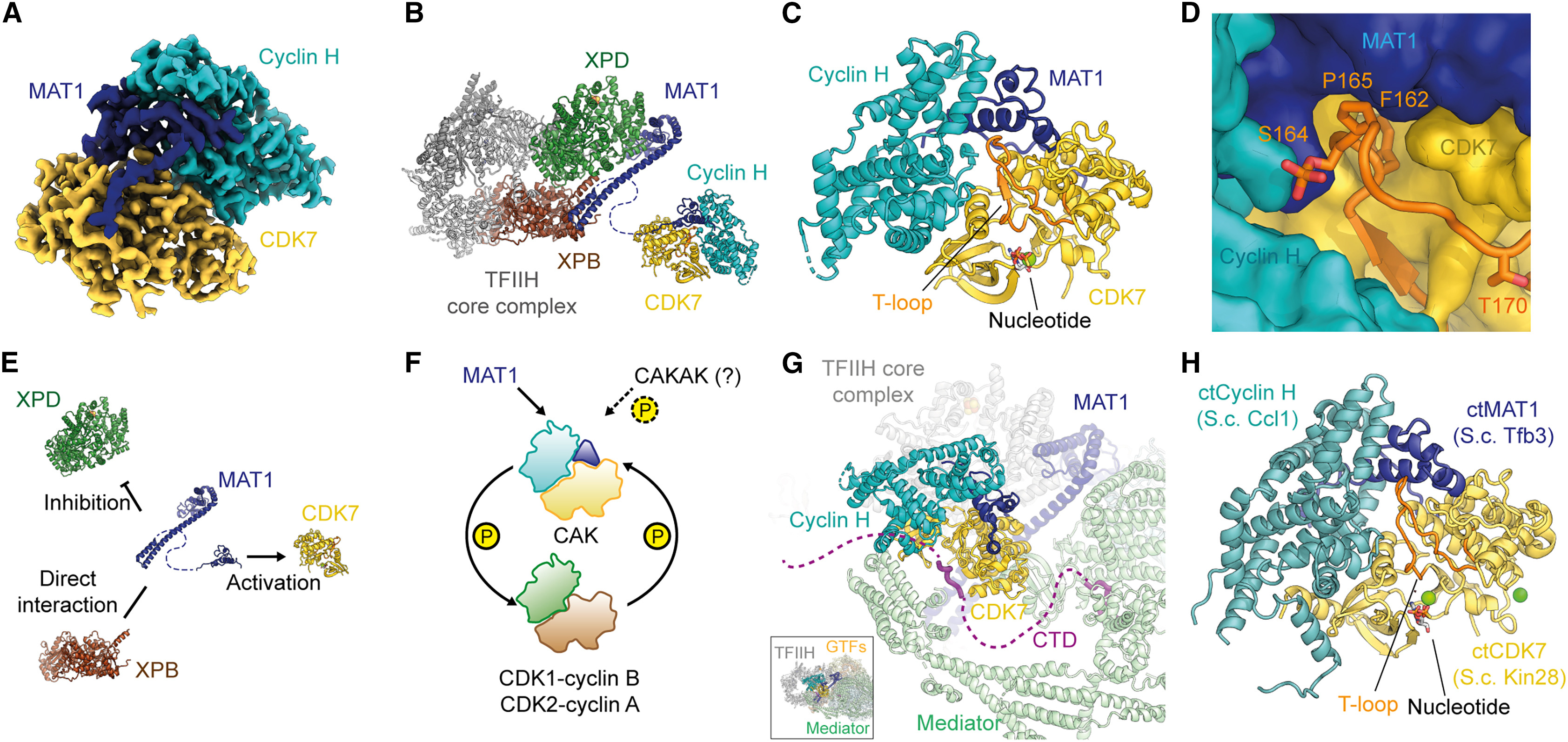 1920032361148960768-protein-complex-cryo-em-structure-characterization-service1.jpg