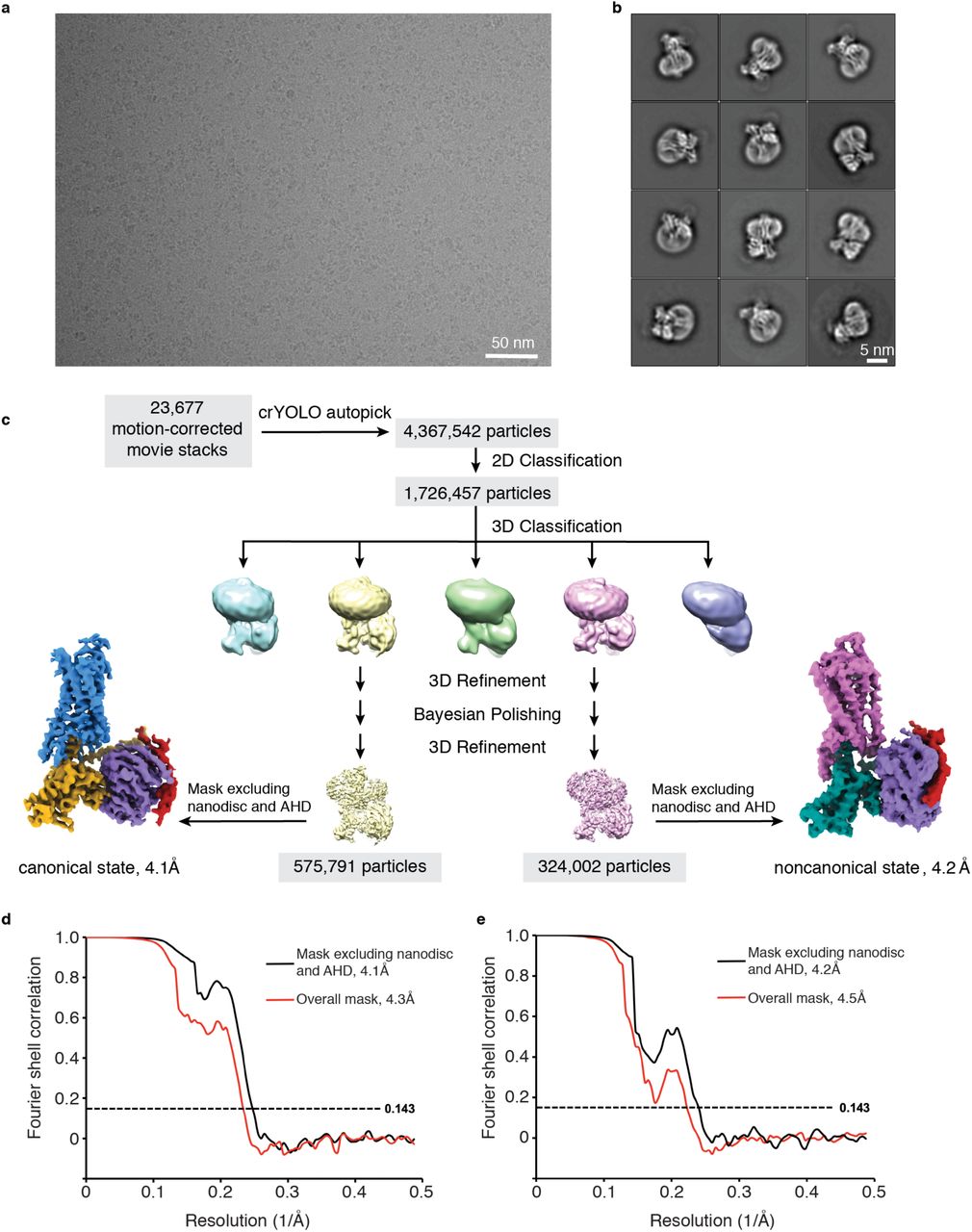 1920032505089085440-protein-complex-cryo-em-structure-characterization-service2.jpg