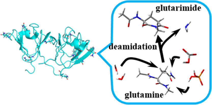 1920034549573210112-deamidation-proteomics-service1.jpeg