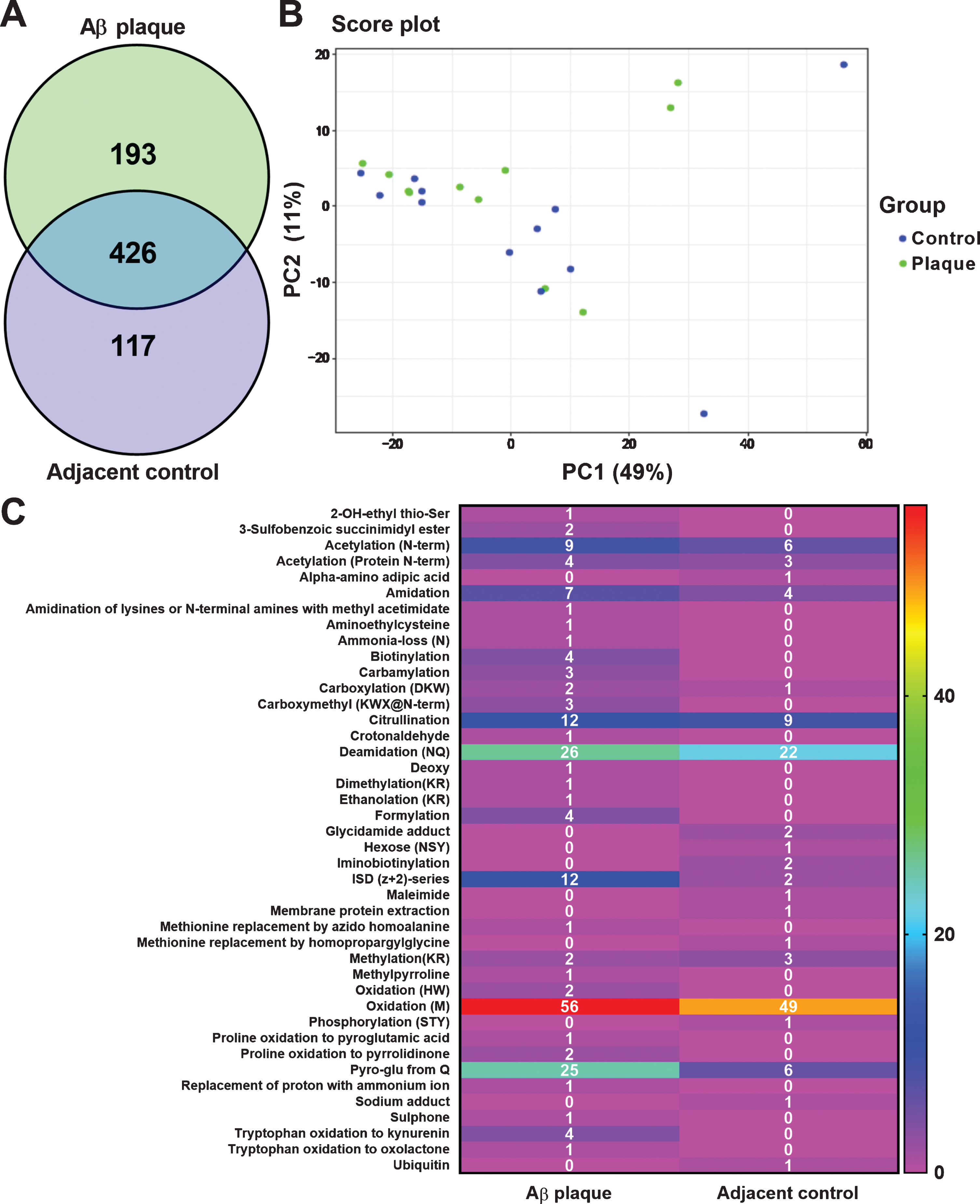 1920035070061170688-deamidation-proteomics-service2.jpg