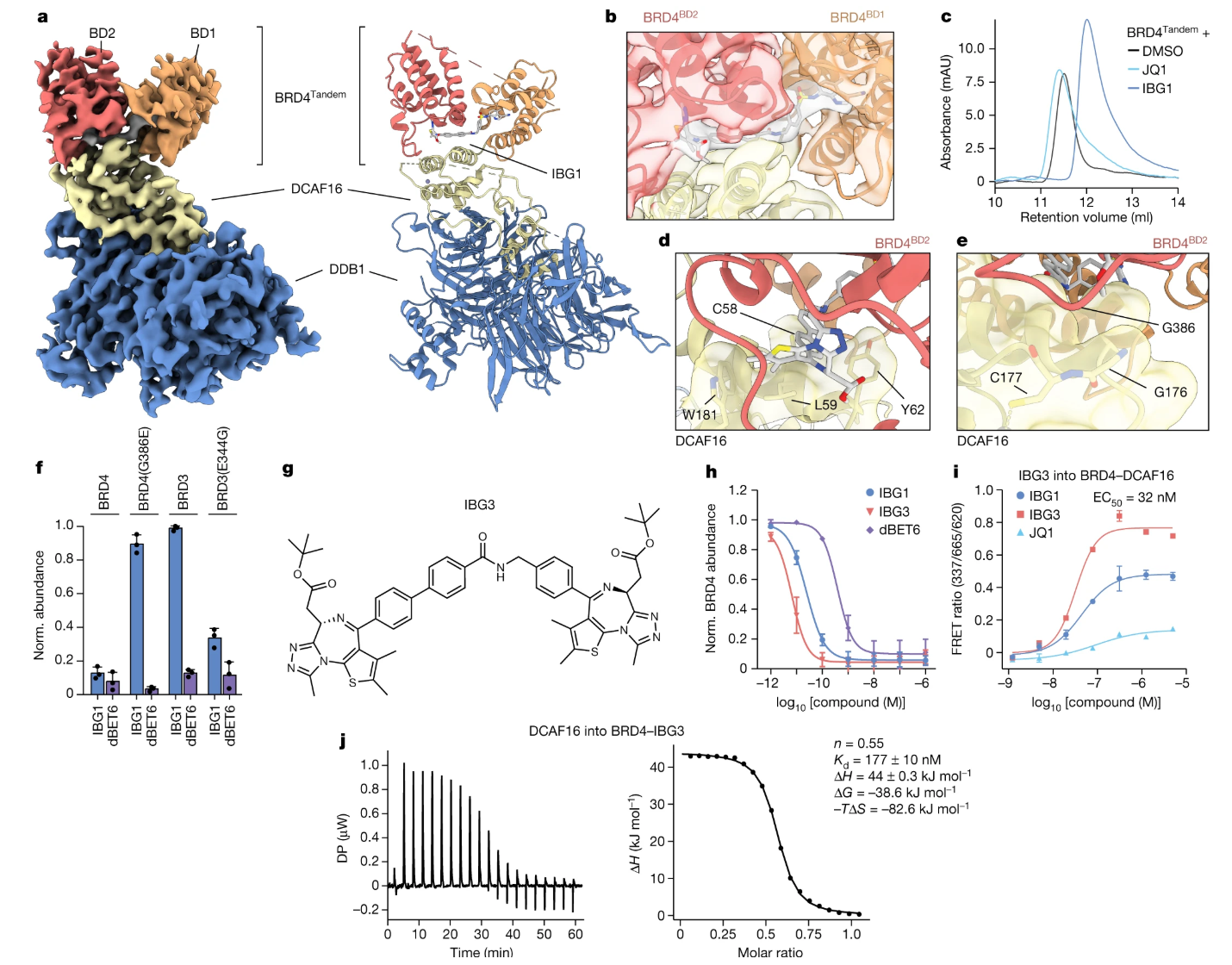 1920355071934713856-protein-degraders-and-ternary-complexes-structure-characterization-service-cryo-em2.PNG