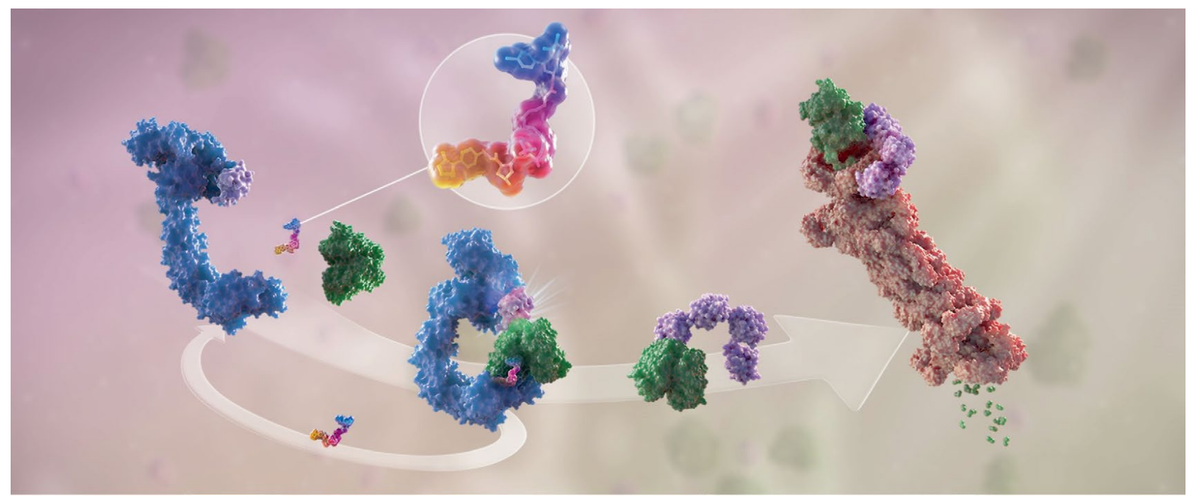 1920357528827973632-protein-degraders-and-ternary-complexes-structure-characterization-service-cryo-em1.PNG