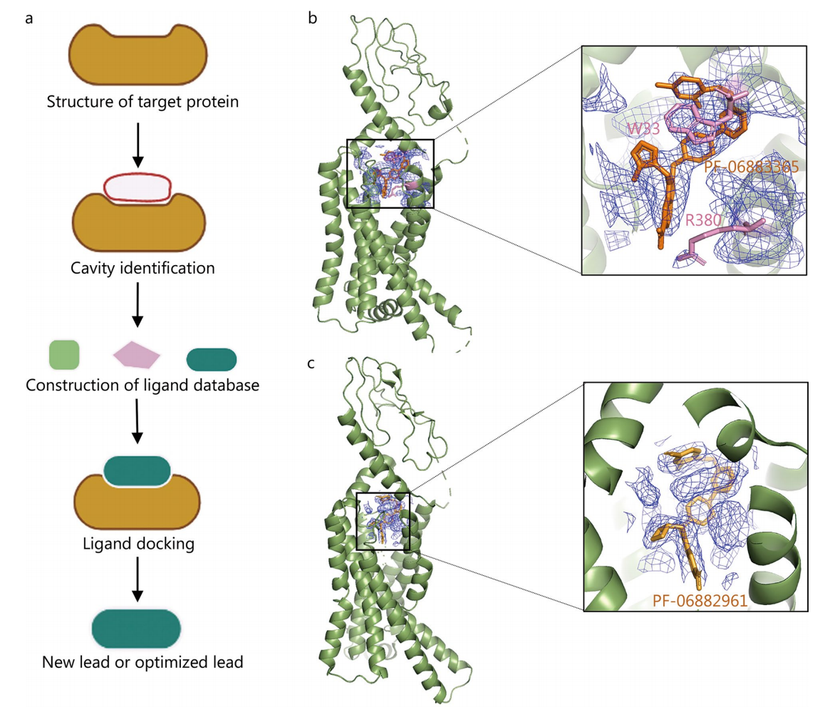 1920662540124803072-cryo-em-protein-small-molecule-complex-structure-characterization-service1.PNG