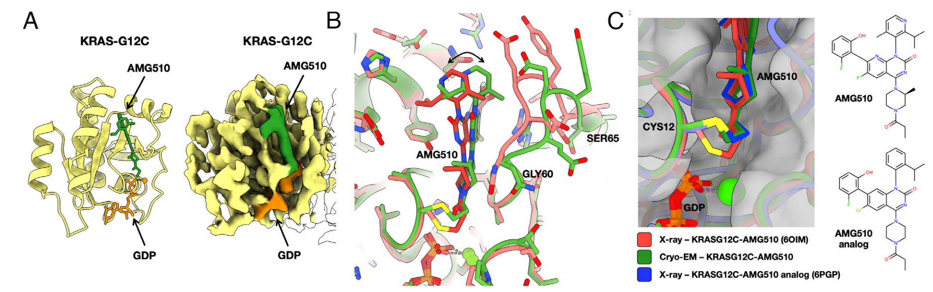 1920662864118009856-cryo-em-protein-small-molecule-complex-structure-characterization-service3.PNG
