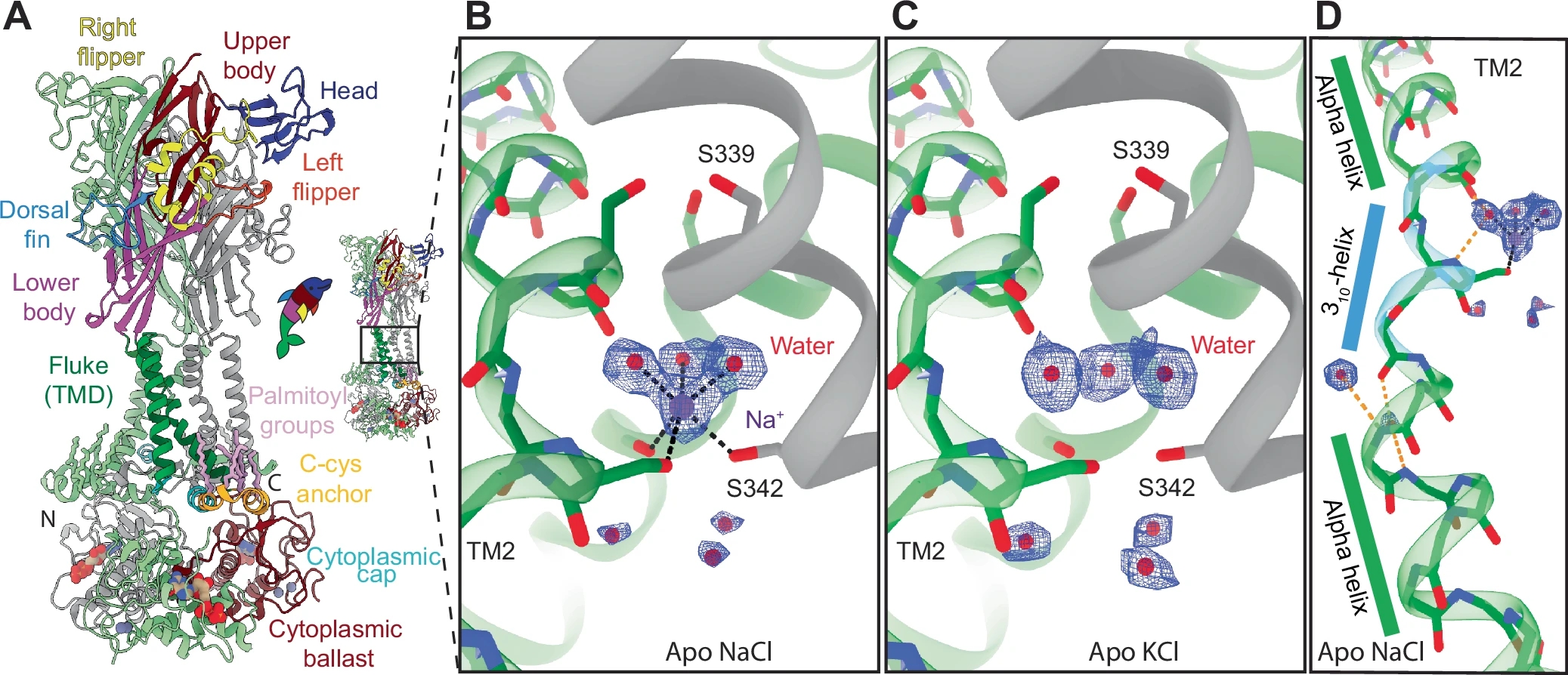 1920711454282600448-receptors-structure-characterization-service-cryo-em1.jpg
