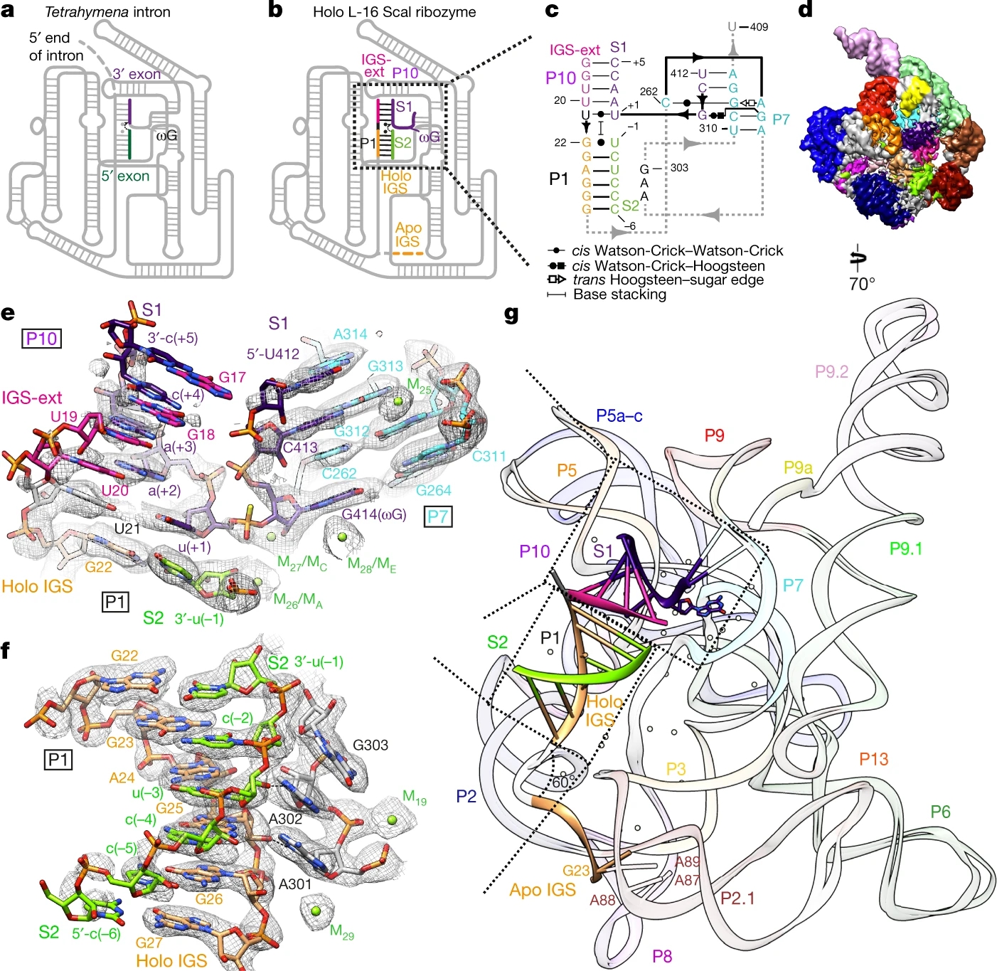 1920713263667597312-protein-free-rna-structure-characterization-service-cryo-em1.jpg