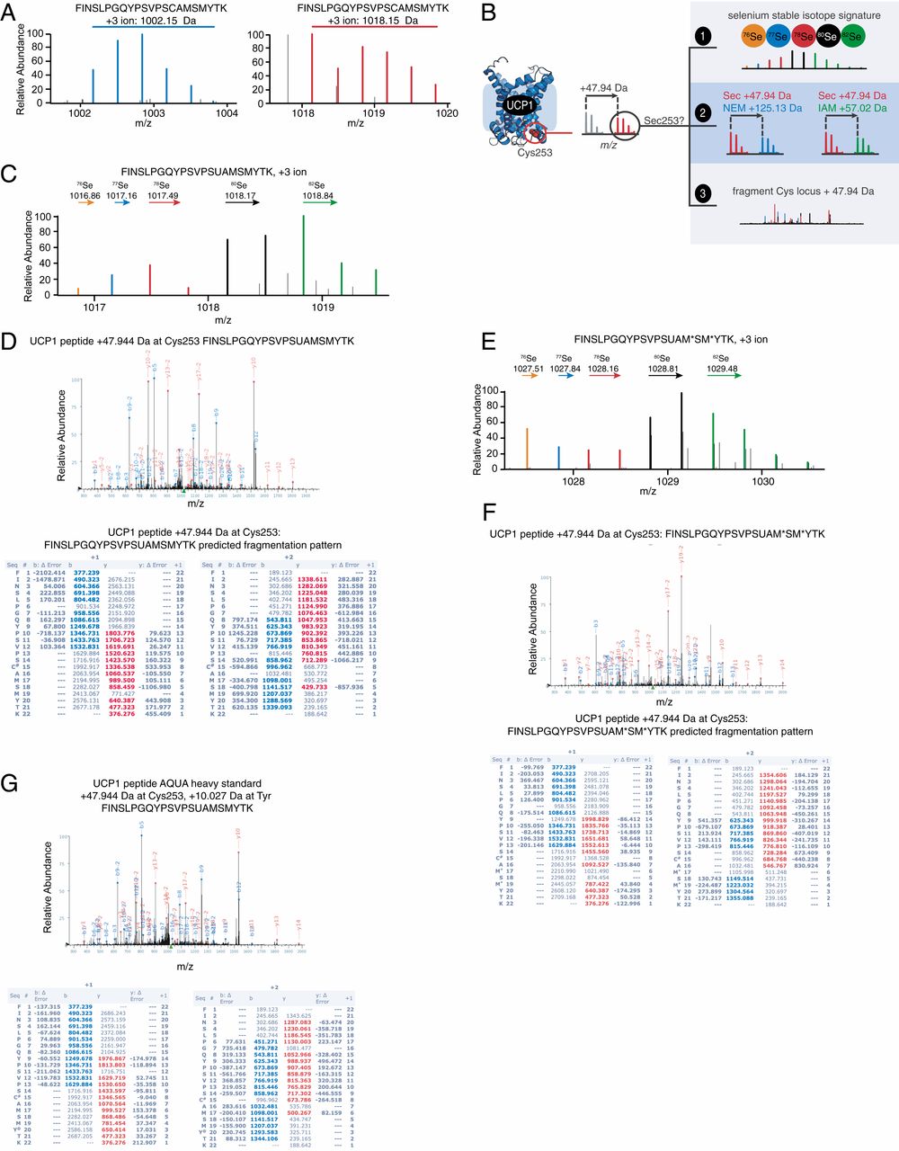 1920760136843513856-selenylation-proteomics-service2.jpeg