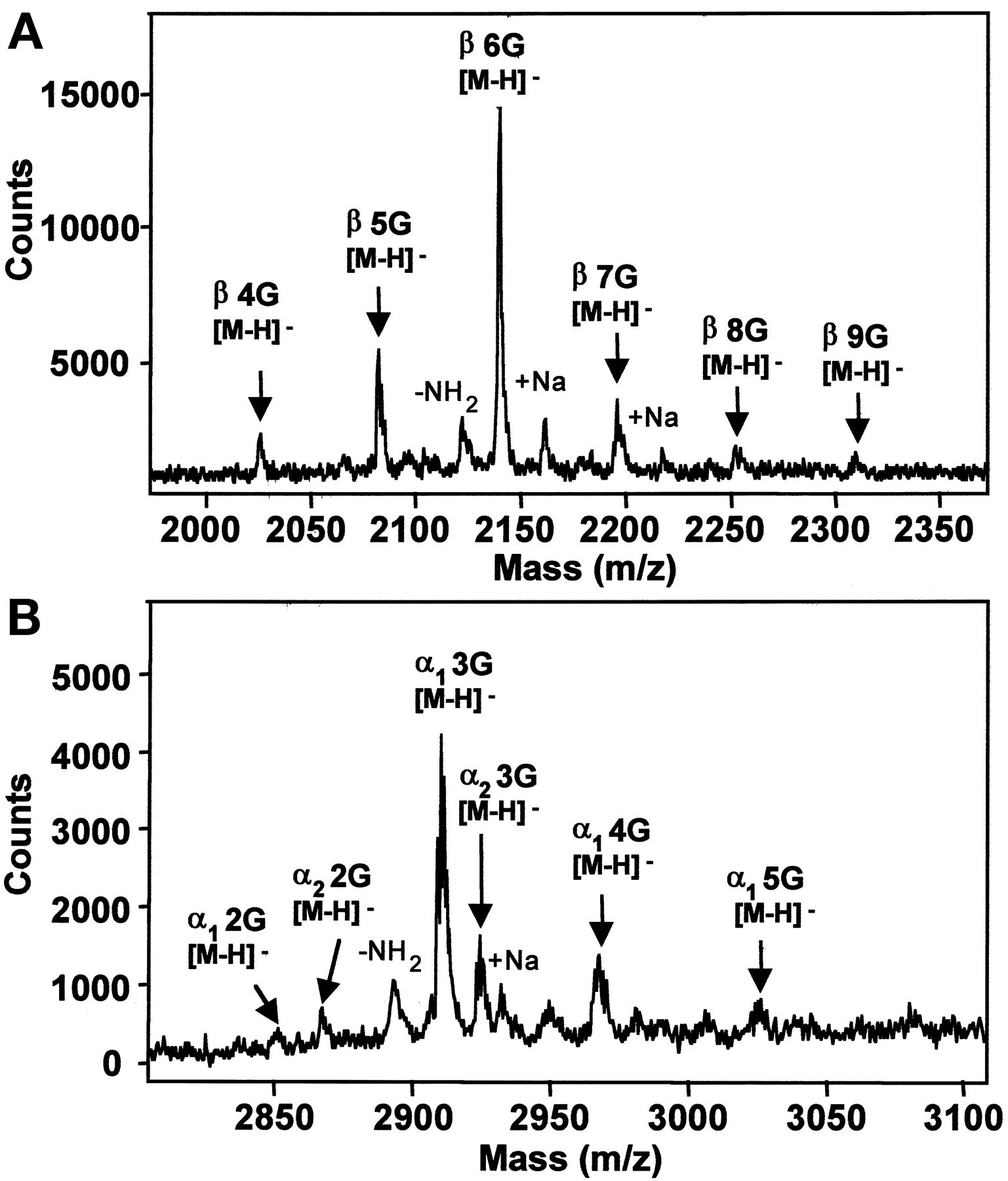 1920767902614147072-polyglycylation-proteomics-service1.jpeg