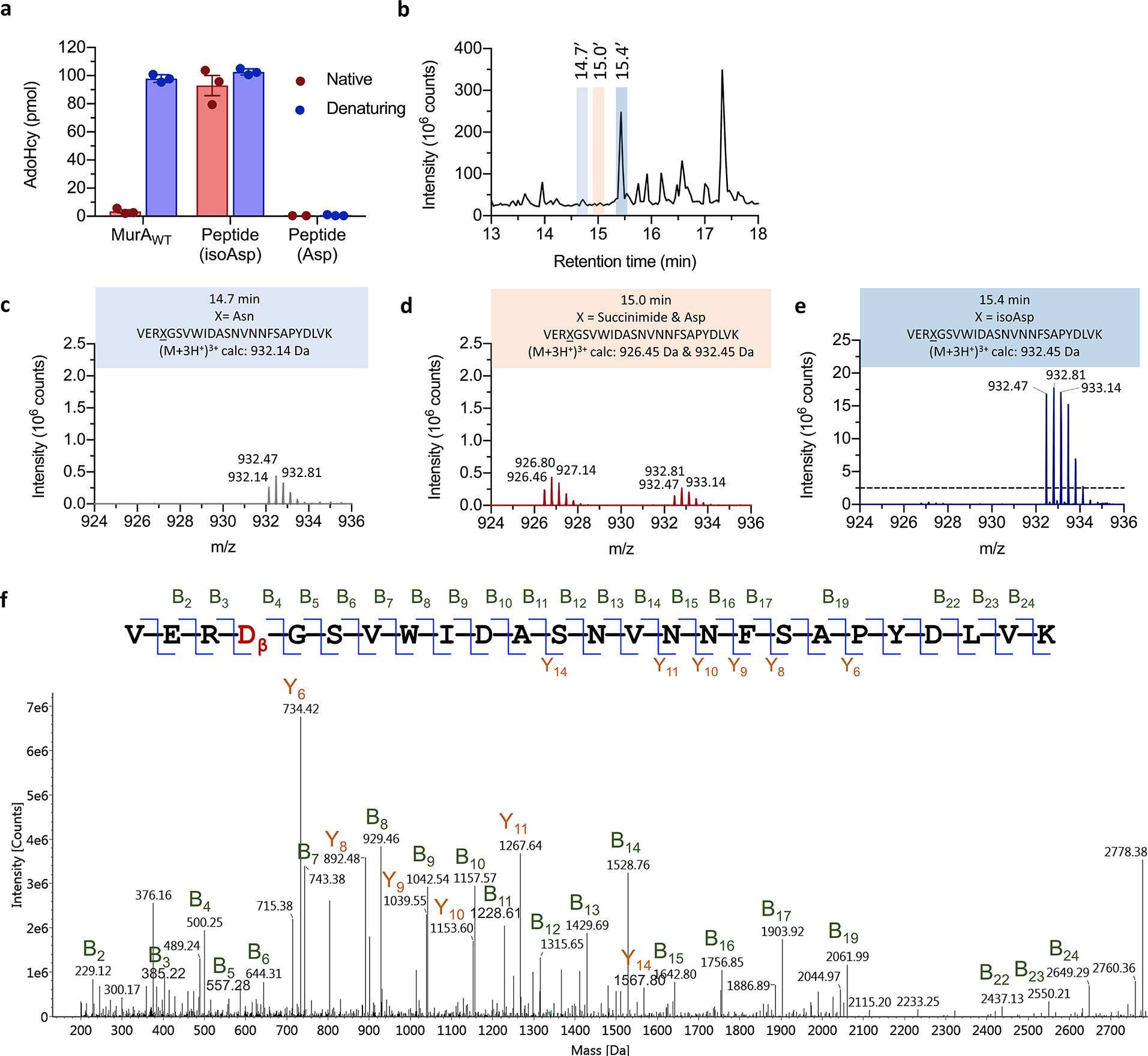 1921849956625928192-protein-backbone-ptm-analysis-service2.jpeg