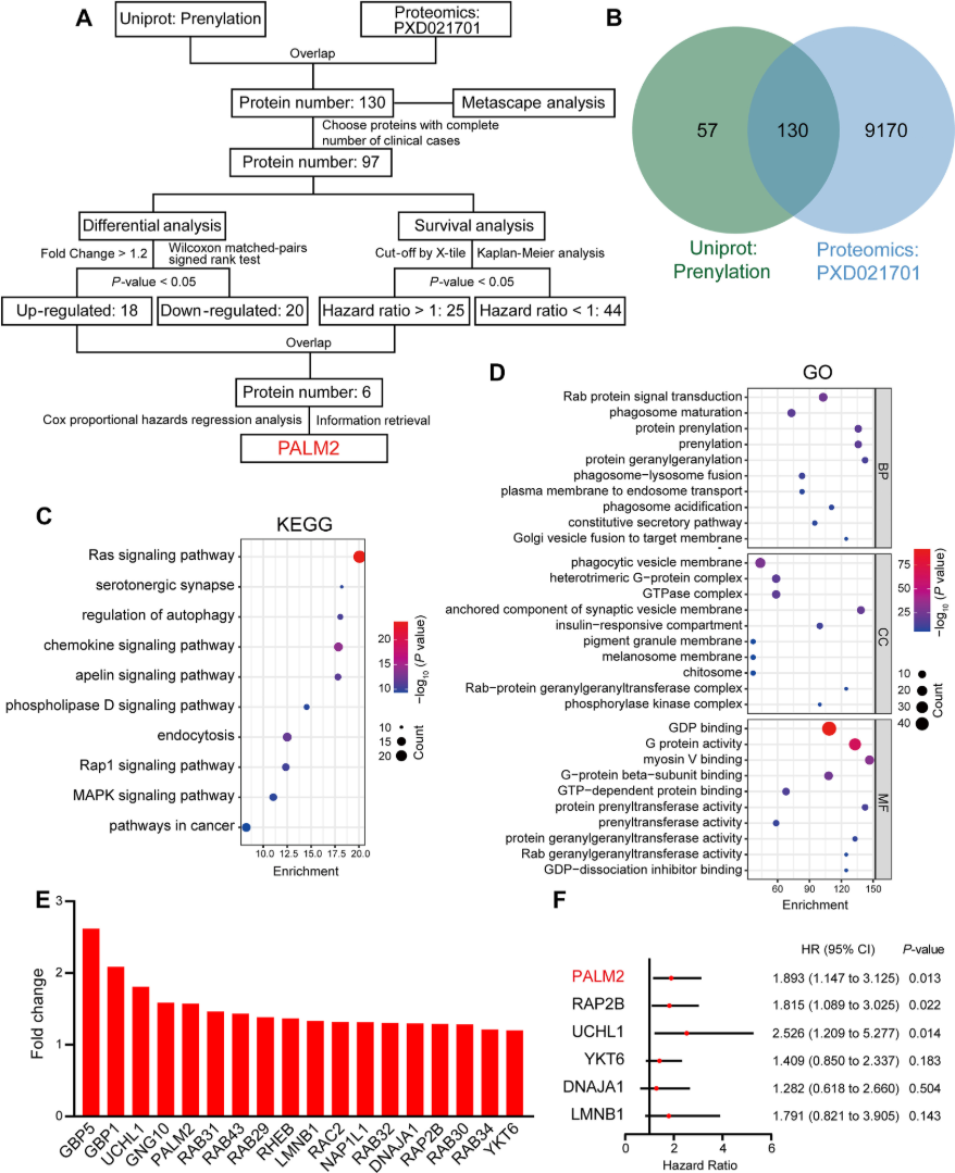 1921856979539185664-prenylation-proteomics-service2.png