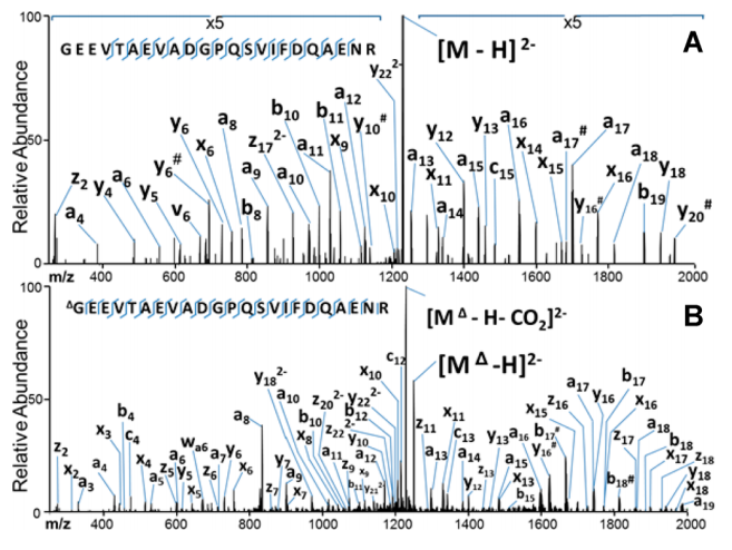 1922105647412400128-carbamylation-proteomics-service2.PNG
