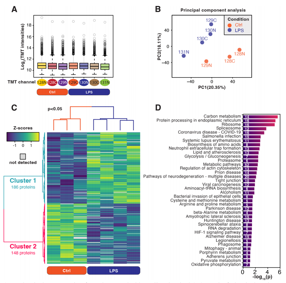 1922107303994707968-carbamylation-proteomics-service3.PNG
