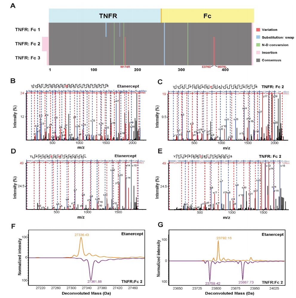 1922168262507483136-protein-drug-glycosylation-analysis-service4.PNG