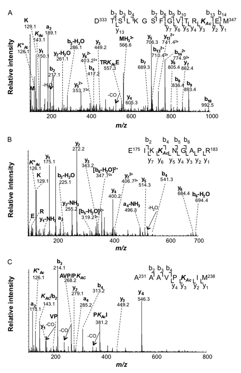 1922823119362969600-mass-spectrometry-based-protein-modification-sites-analysis-service4.PNG