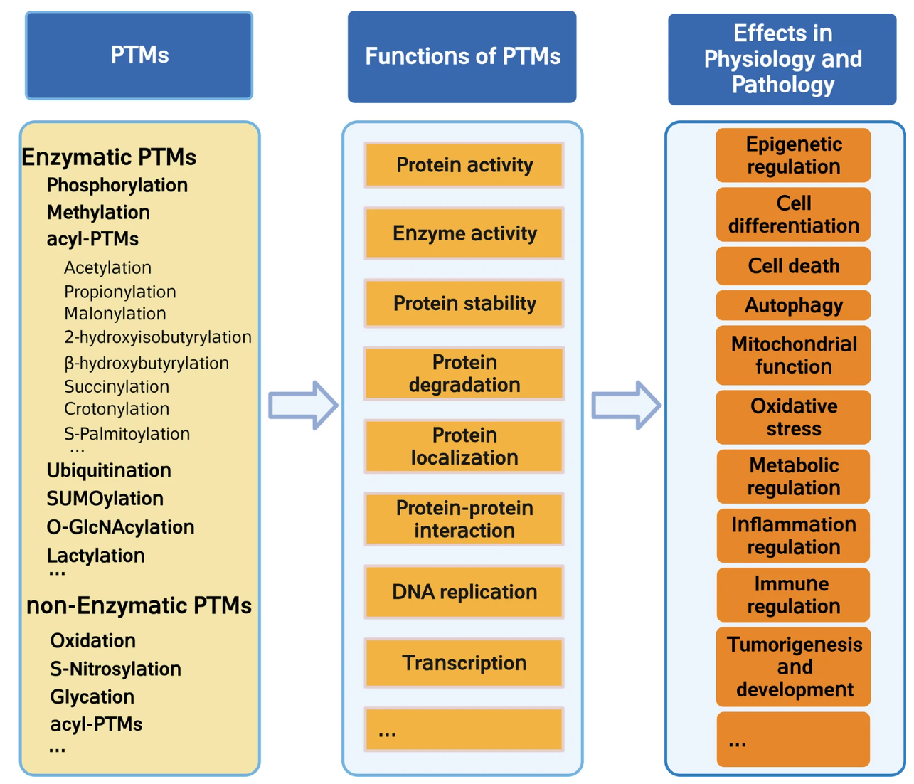 1922853505795215360-prm-based-post-translational-modification-site-analysis-service1.PNG
