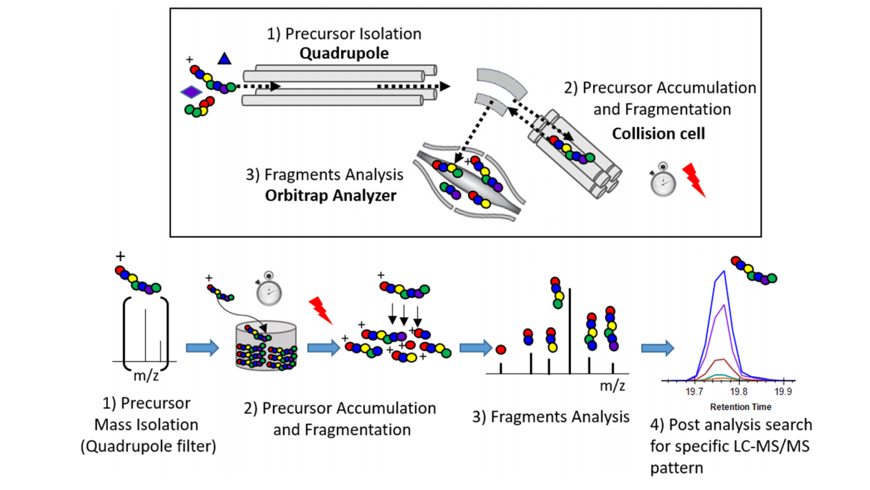 1922853671478611968-prm-based-post-translational-modification-site-analysis-service2.PNG