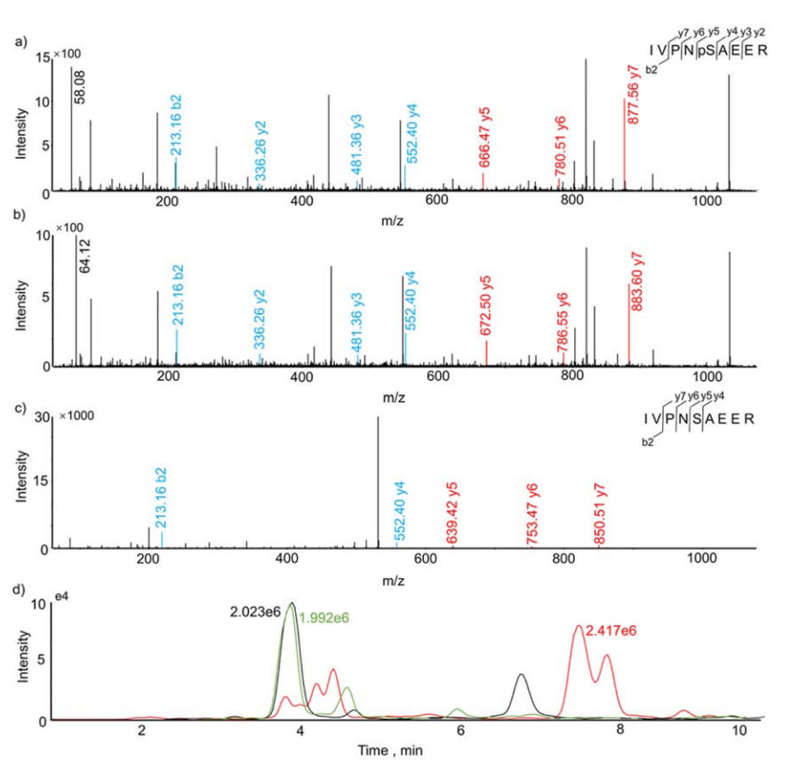 1922853818337972224-prm-based-post-translational-modification-site-analysis-service3.PNG