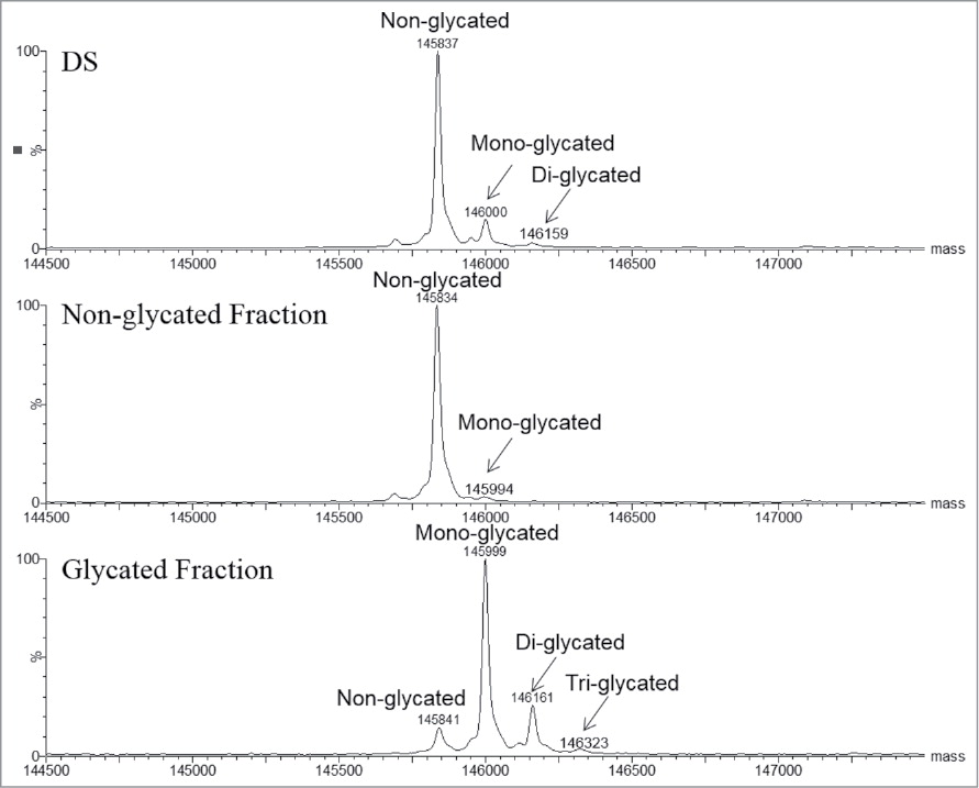 1922945148233830400-glycation-quantitative-analysis-service1.jpg