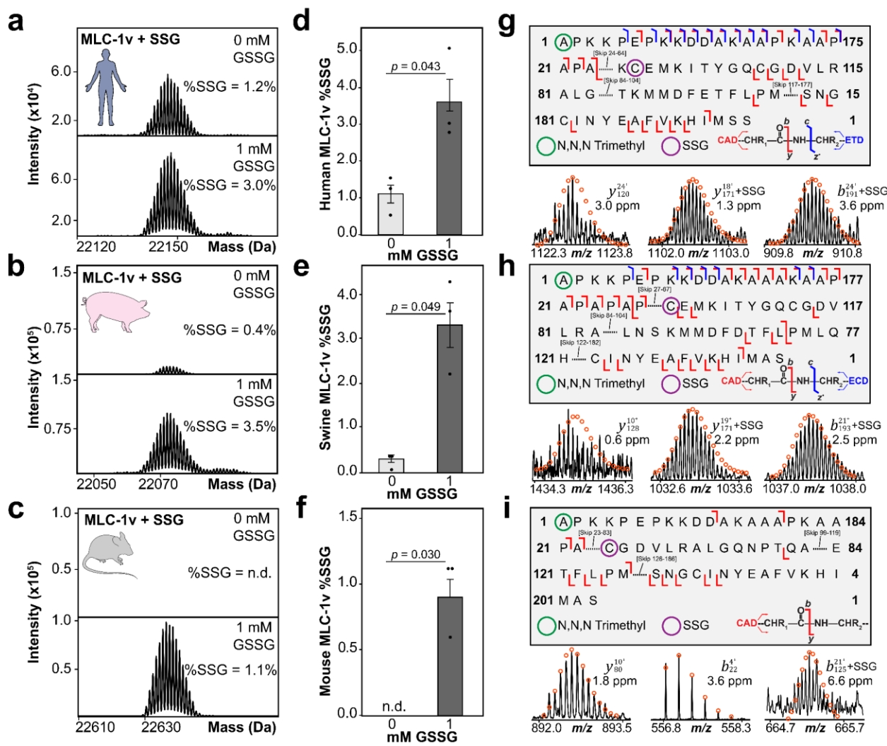 1923217425823289344-s-glutathionylation-proteomics-service3.png