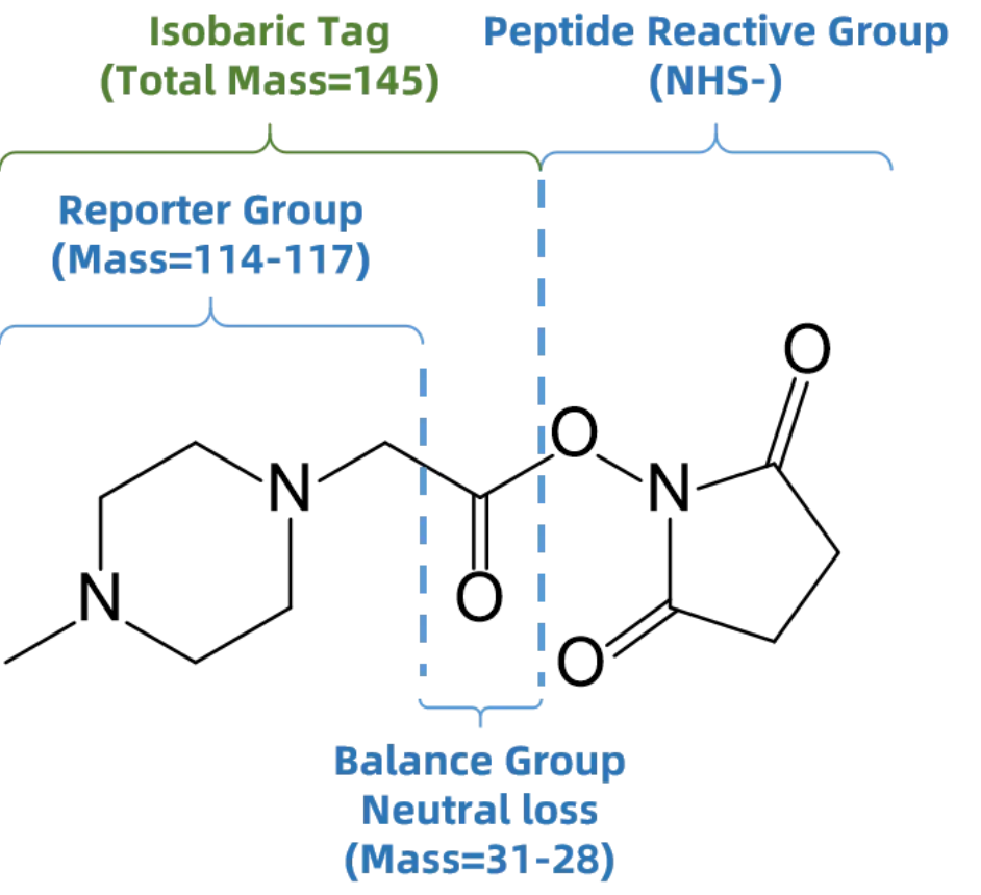1923224385771655168-itraq-tmt-based-ptm-quantitative-analysis-service1.png