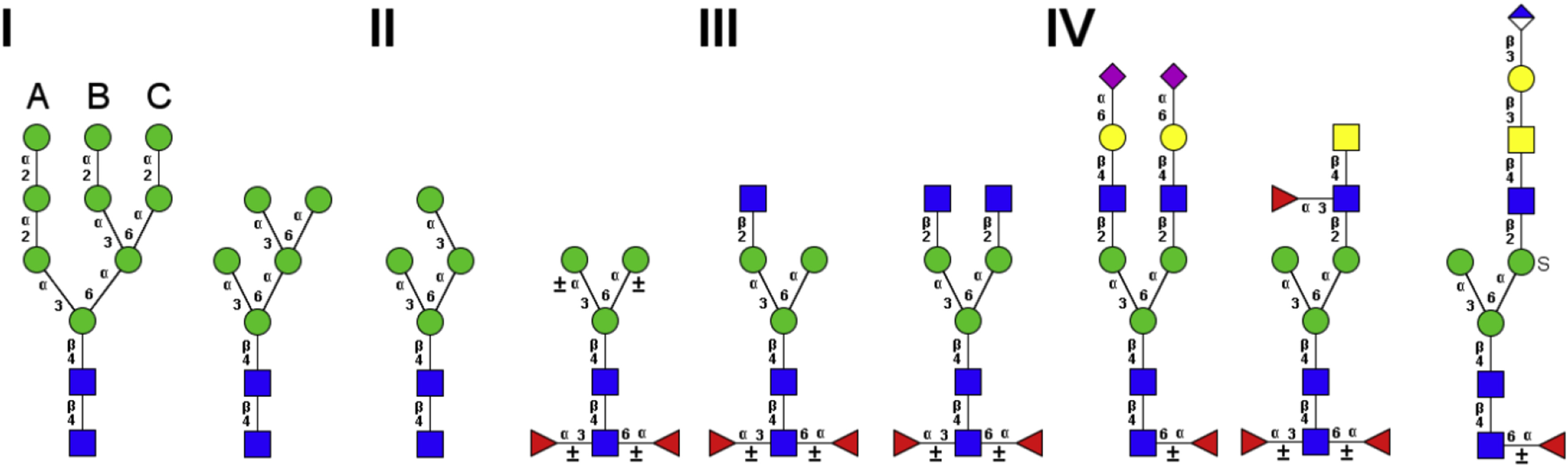 1923295650872152064-insect-cell-glycosylation-patterns-analysis-service1.jpg