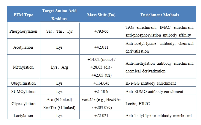 1924758439813828608-protein-ptm-qualitative-analysis-service.jpg