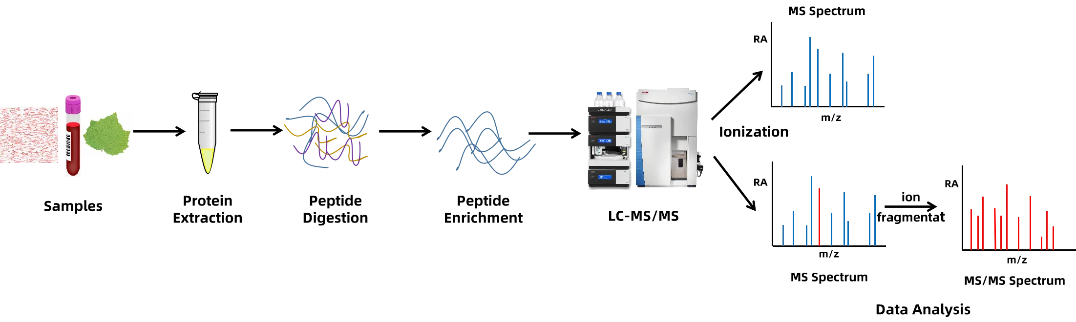 1924758565563256832-protein-ptm-qualitative-analysis-service2.png