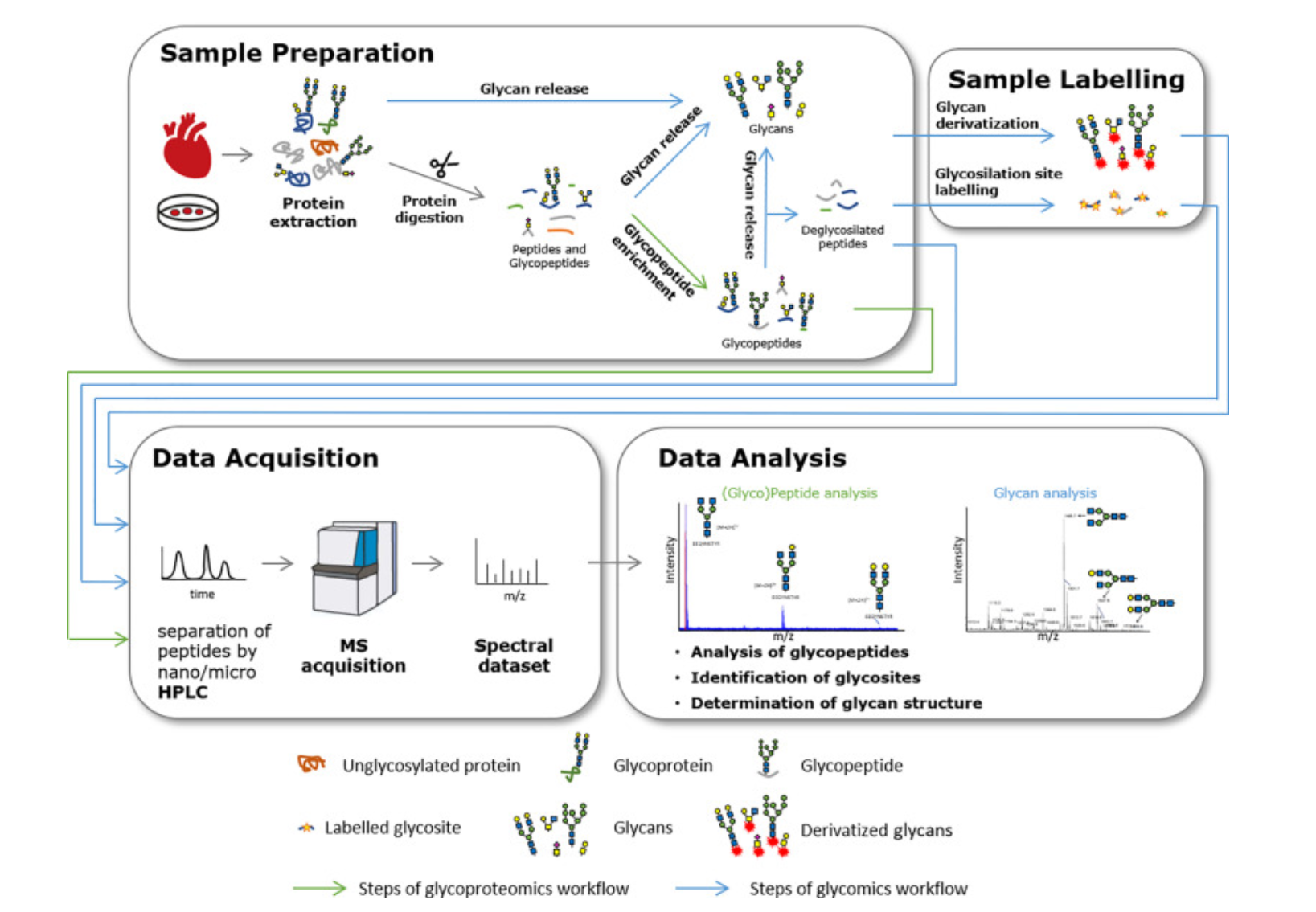 1925738195514413056-glycoproteomics-data-analysis-service1.png