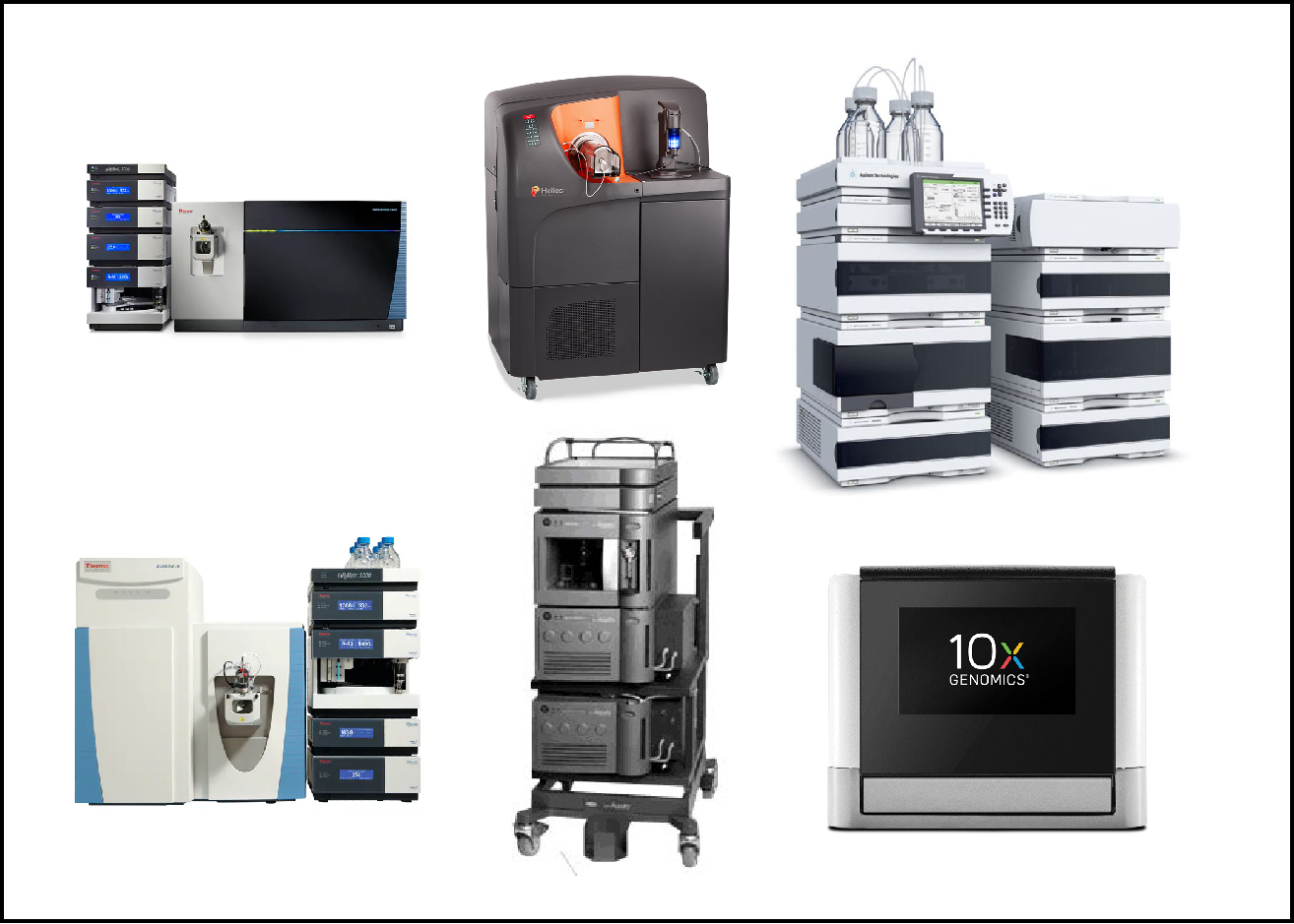 1926817117486264320-biomedical-sciences1.png