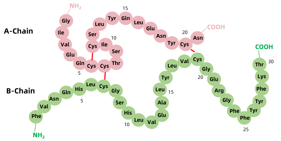 1926901972693757952-mceu_85118182421748244204221.png