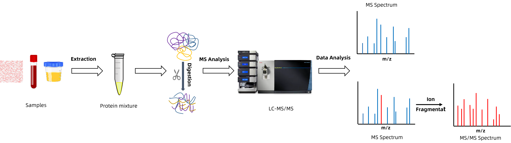 1926902175190560768-mceu_82012806141748244252154.png