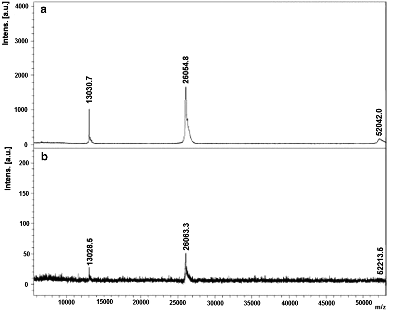 1926919263550558208-recombinant-collagen-high-resolution-molecular-weight-identification-service1.png