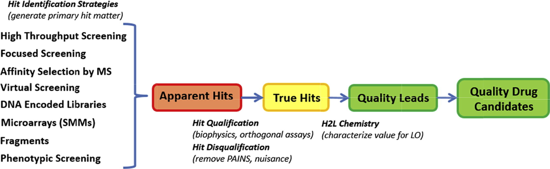 1927541241965826048-hit-identification-service-drug-discovery1.png