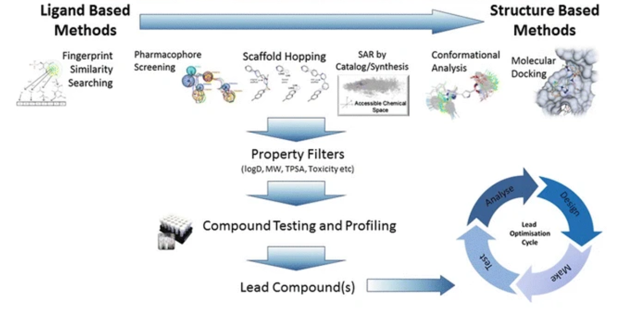 1927615163168051200-hit-to-lead-identification-service-drug-discovery1.png