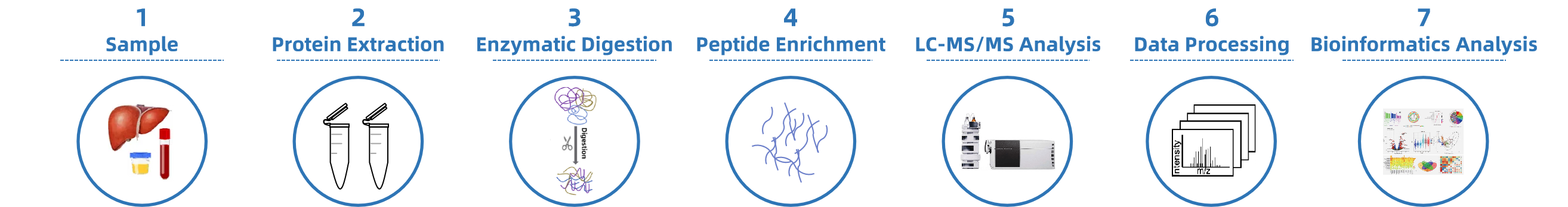 1927934783917772800-histone-ptm-identification-service2.png