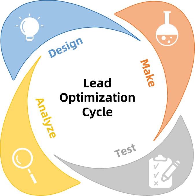 1928369427972739072-lead-optimization-service-drug-discovery1.png