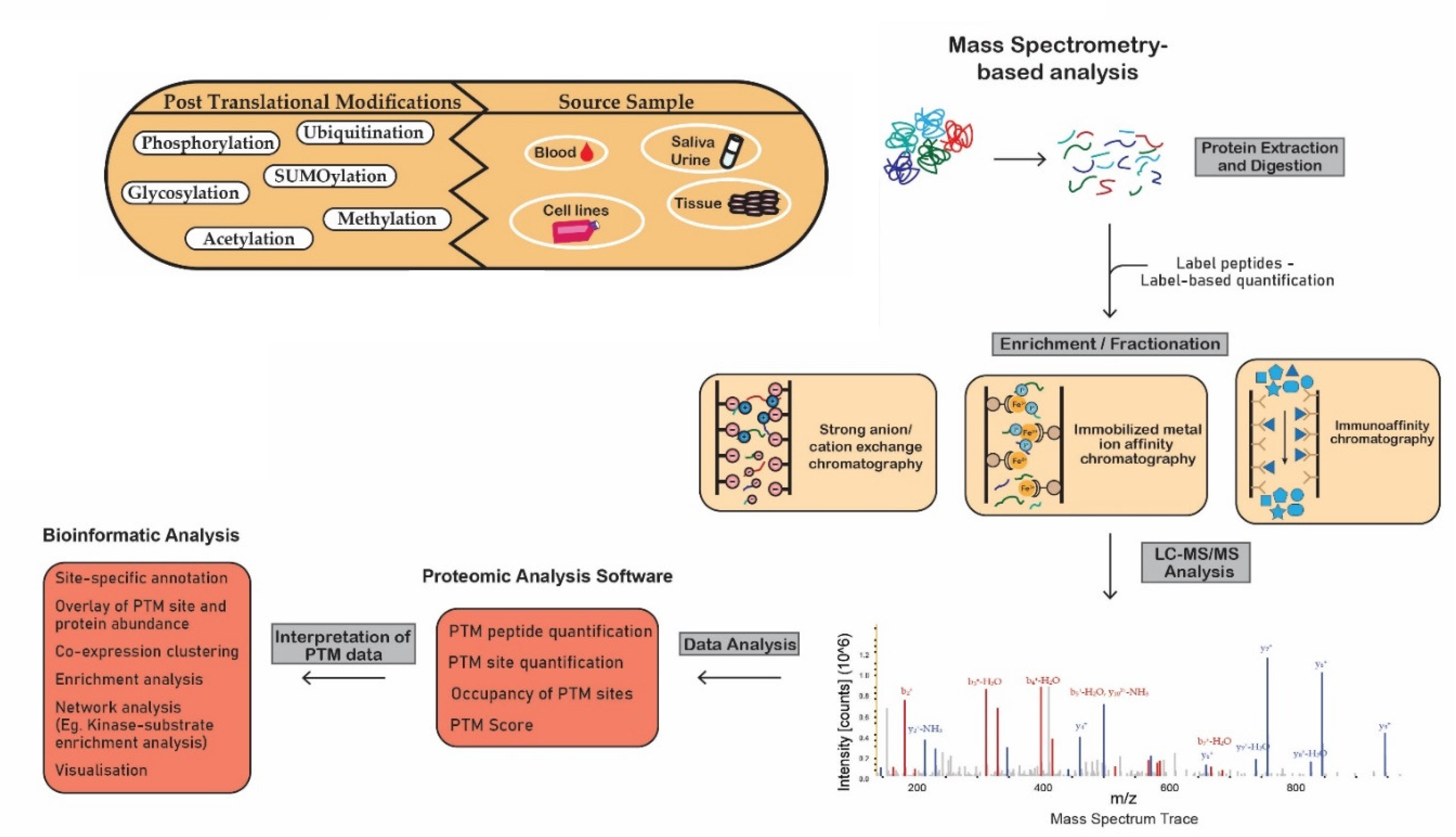 1928370333107736576-ms-based-post-translational-modification-analysis-service2.png