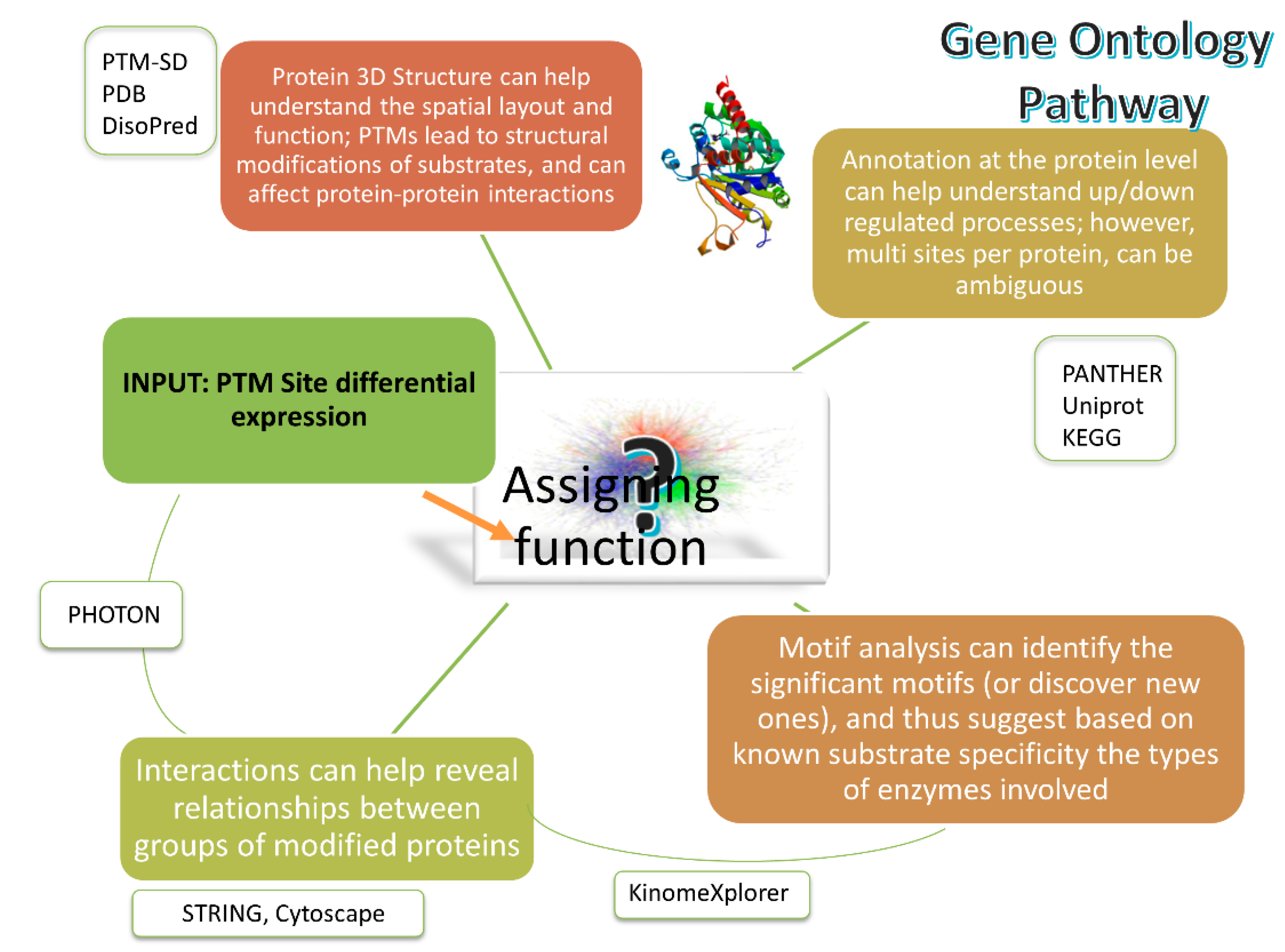 1930181147376603136-post-translational-modification-functional-analysis-service1.png