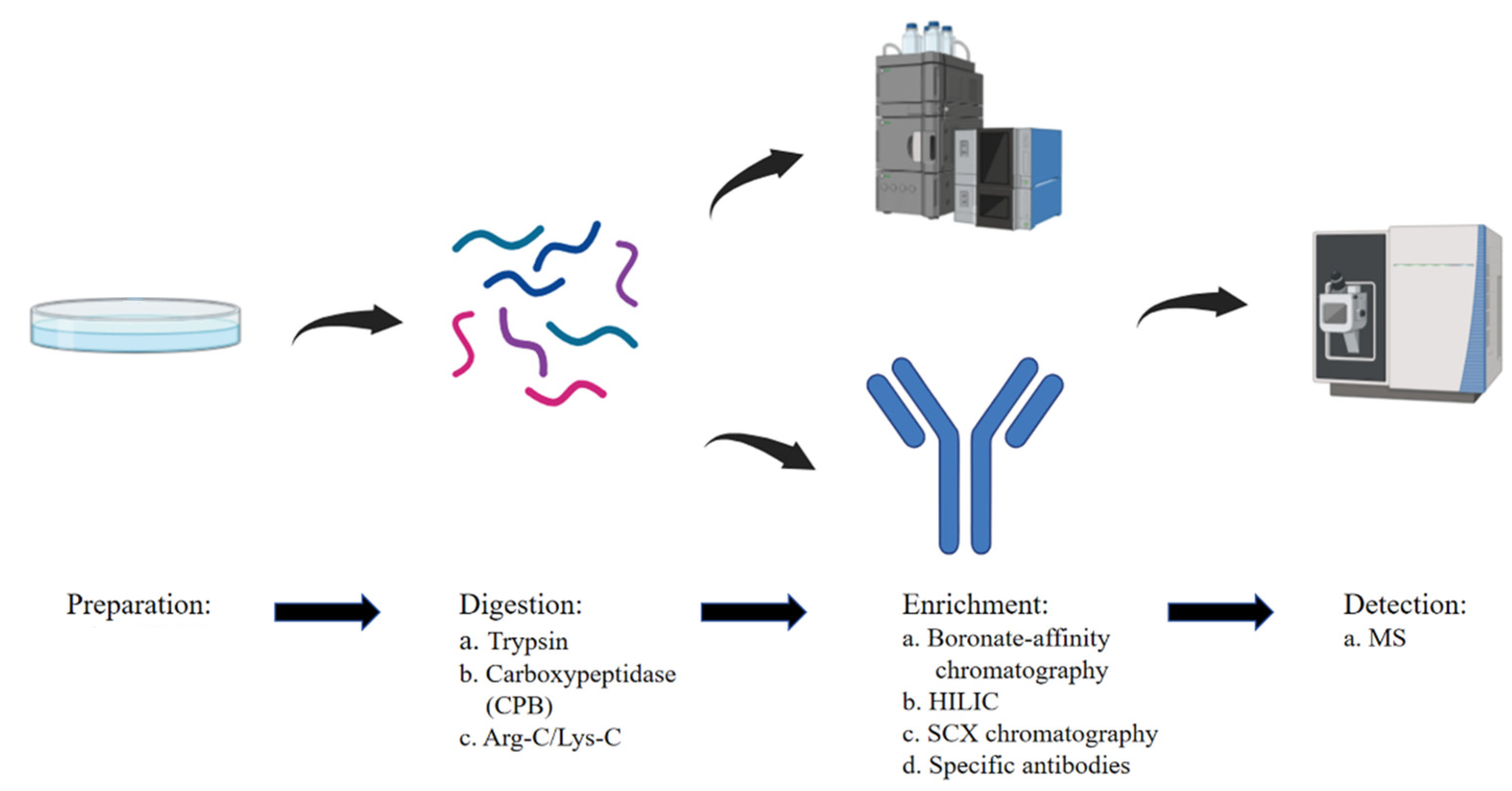 1930183301764075520-methylation-proteomics-service2.png